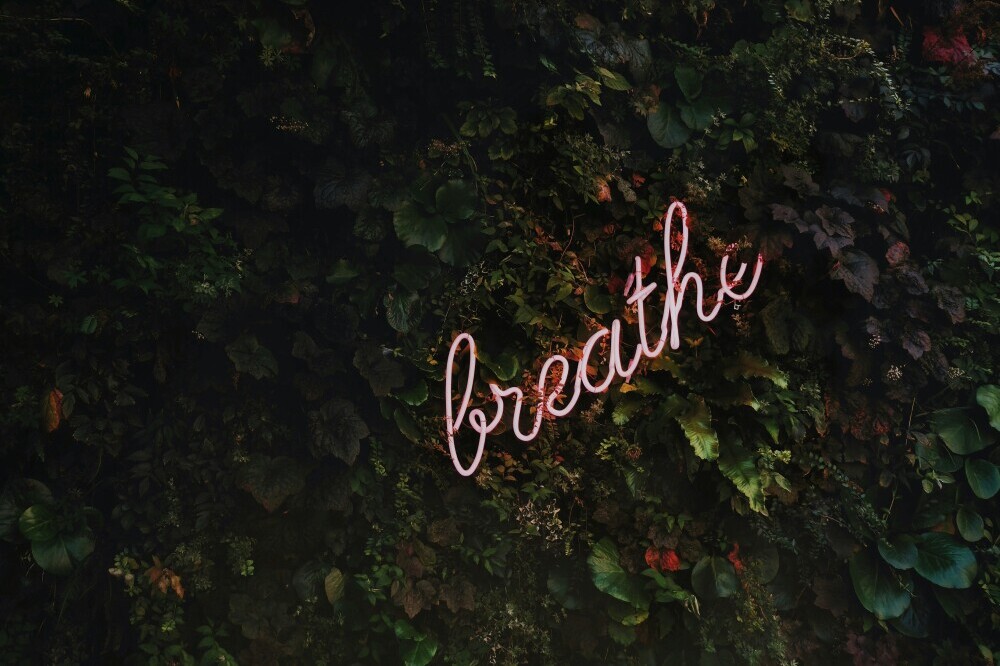 Niche Health Benefits